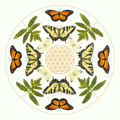 Mandala Series ~ Flower of Life ~ Butterflies and Ferns