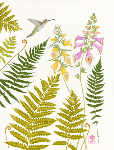 Summer Garden ~ Foxglove and Ruby-throated Hummingbird (female)