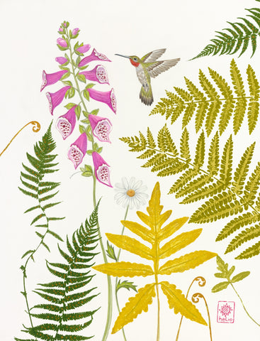 Summer Garden ~ Foxglove and Ruby-throated Hummingbird (male)